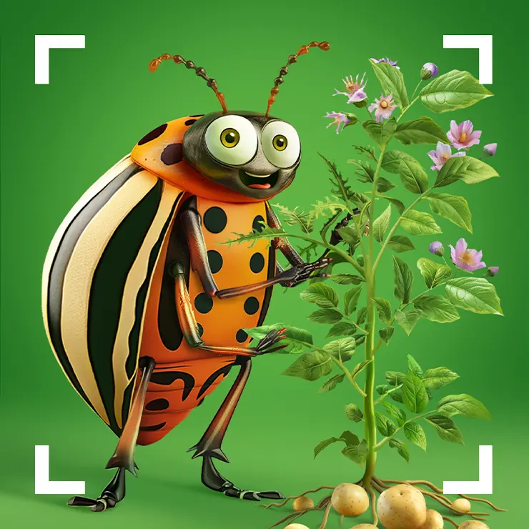 06_Syngenta_big_square