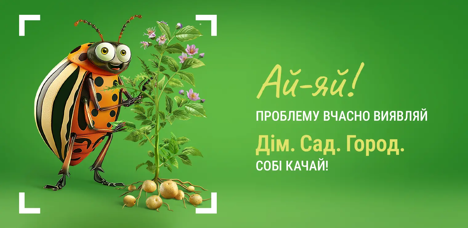 Syngenta_cover_pr_nxt