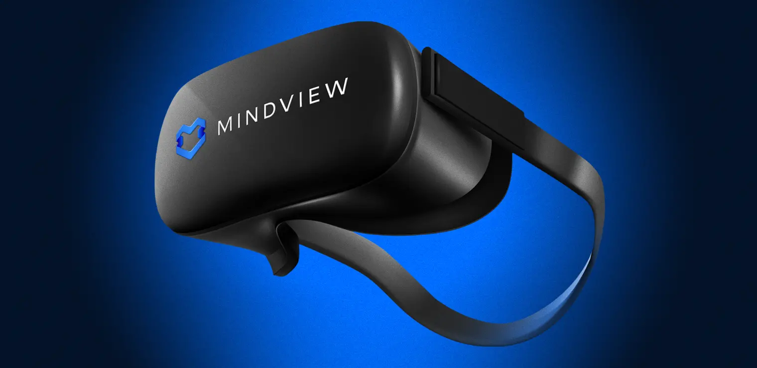 Mindview_big_rectangle_1