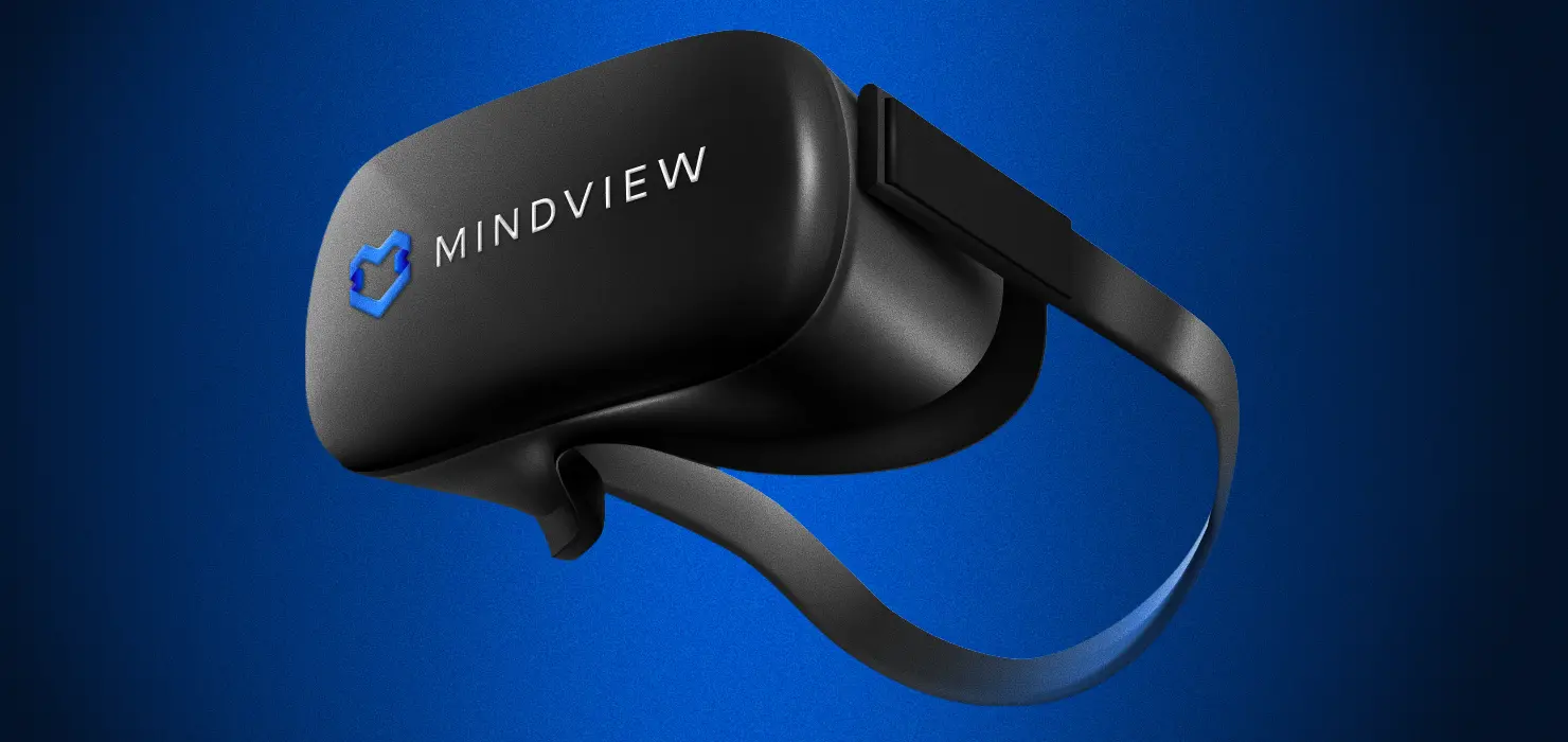 Mindview_small_rectangle_1