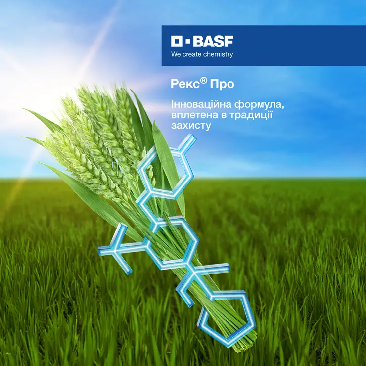 Basf_big_square_3
